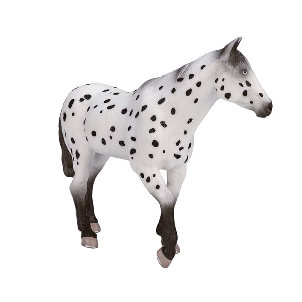 Mojo Fun Appaloosa Stallion