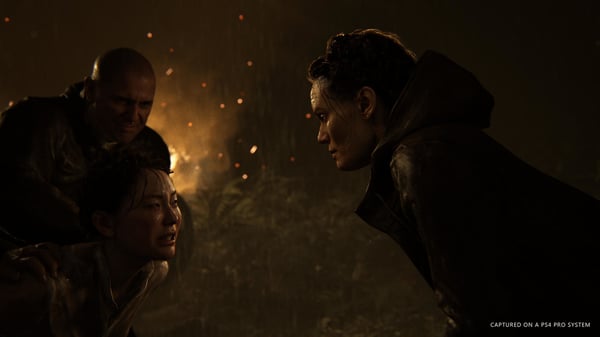 Sony Interactive Entertainment The Last of Us : Part II - Édition Spéciale speciel PlayStation 4