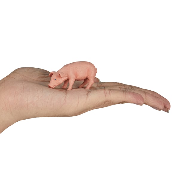 Mojo Fun Piglet Feeding