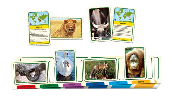 Tactic Animals of the World card game