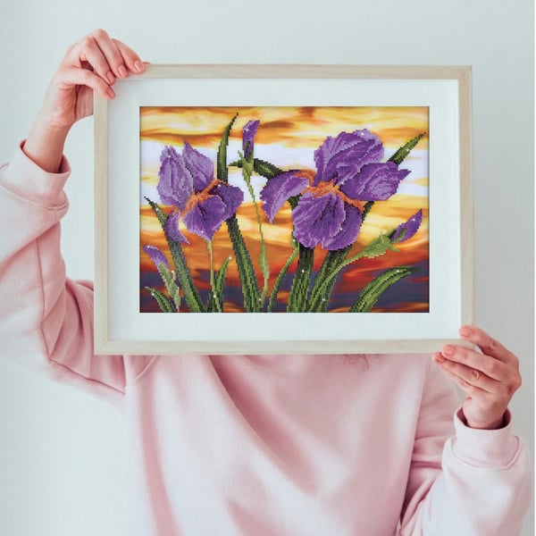 Diamond Dotz Iris Sunset
