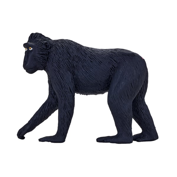 Mojo Fun Black Crested Macaque