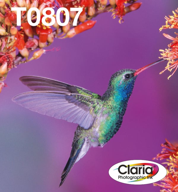 Epson Hummingbird Monipakkaus, 6 väriä, T0807 Claria Photographic Ink, EasyMail -pakkaus