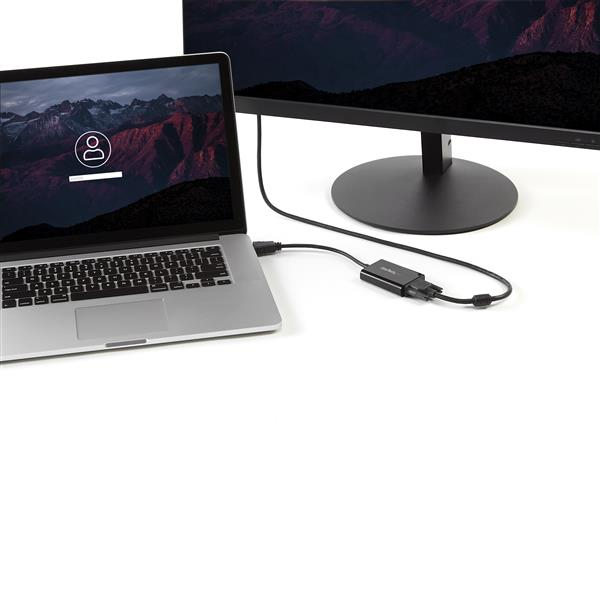 StarTech.com HD2VGAA2 videokabel adapter Sort