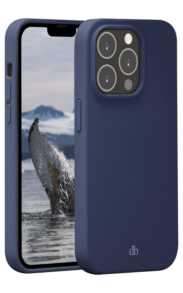 dbramante1928 Greenland - iPhone 14 Pro - Pacific Blue