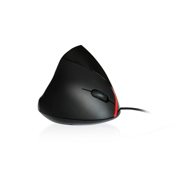 Ewent EW3156 mus Højre hånd USB Type-A Optisk 1000 dpi