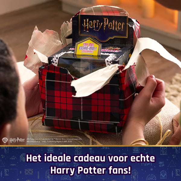 Wizarding World WWO INA BitzeeInt WizardingWorld GML