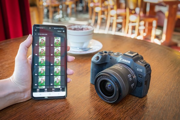 Canon EOS R8 + RF 24-50mm F4.5-6.3 IS STM Kit MILC 24,2 MP CMOS 6000 x 4000 pixel Sort
