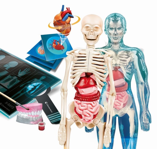 Clementoni Science & Jeu Laboratoire - L'anatomie