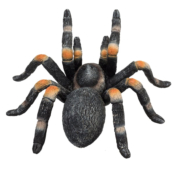 Mojo Fun Red Kneed Tarantula