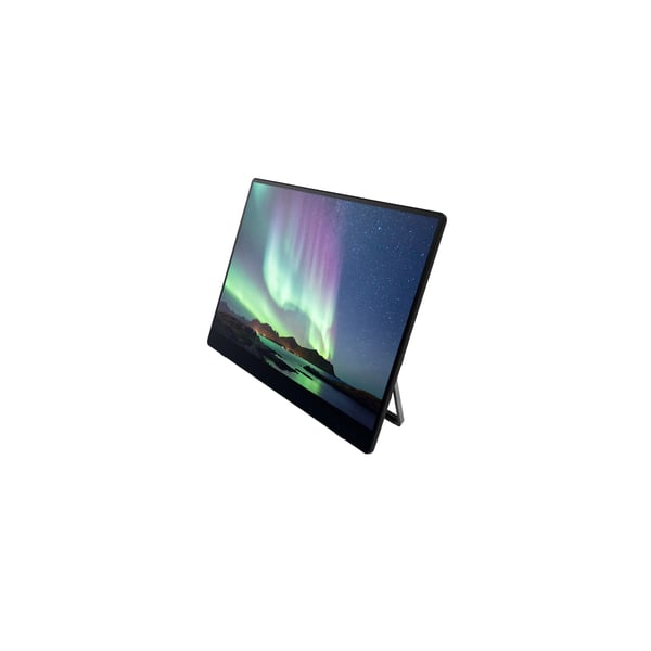 Ricoh 150 Bærbar skærm Sort 39,6 cm (15.6") LED 1920 x 1080 pixel
