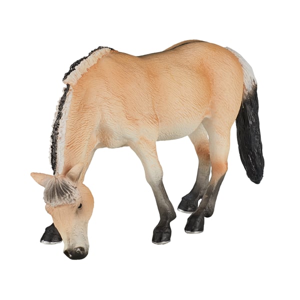 Mojo Fun Fjord Mare