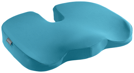 Leitz Ergo Cosy Sittkudde