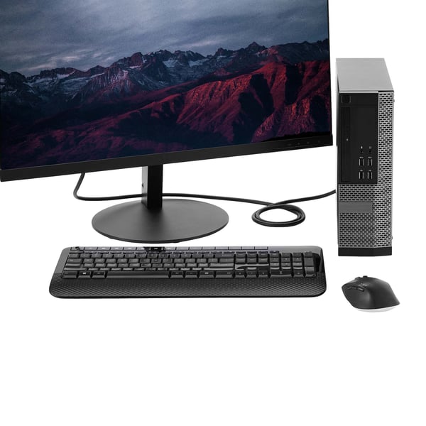 StarTech.com DISPLPORT10L DisplayPort kabel 3 m Sort
