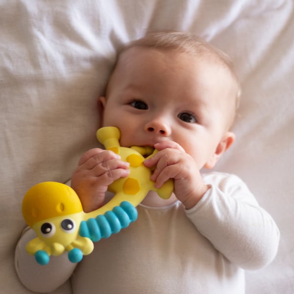 Playgro Squeak And Soothe Natural Teether leksaker till barnvagnsmobil