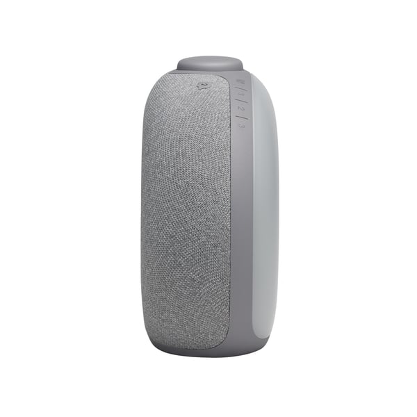 JBL HORIZON 2 GRÅ