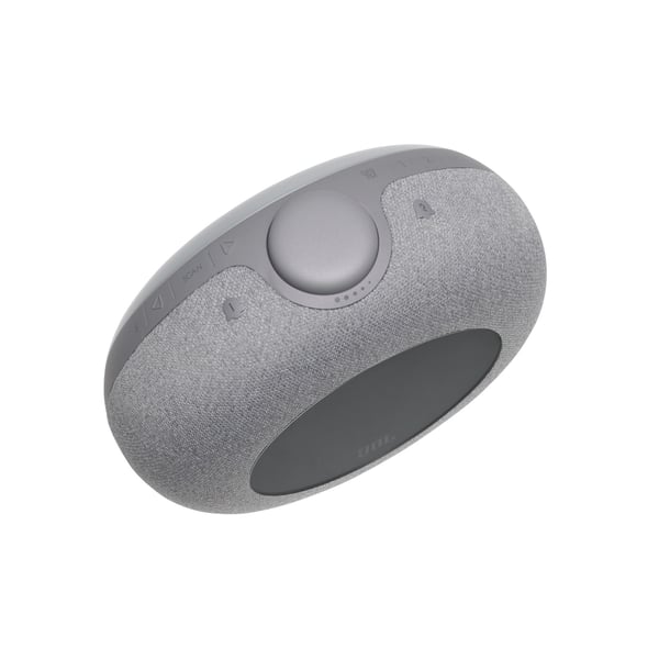 JBL HORIZON 2 GRÅ