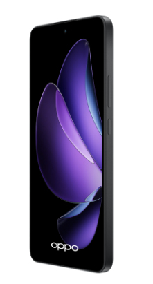 OPPO 13 F 5G Reno 13F 5G 16,9 cm (6.67") Dual SIM USB Type-C 8 GB 256 GB 5800 mAh Grå