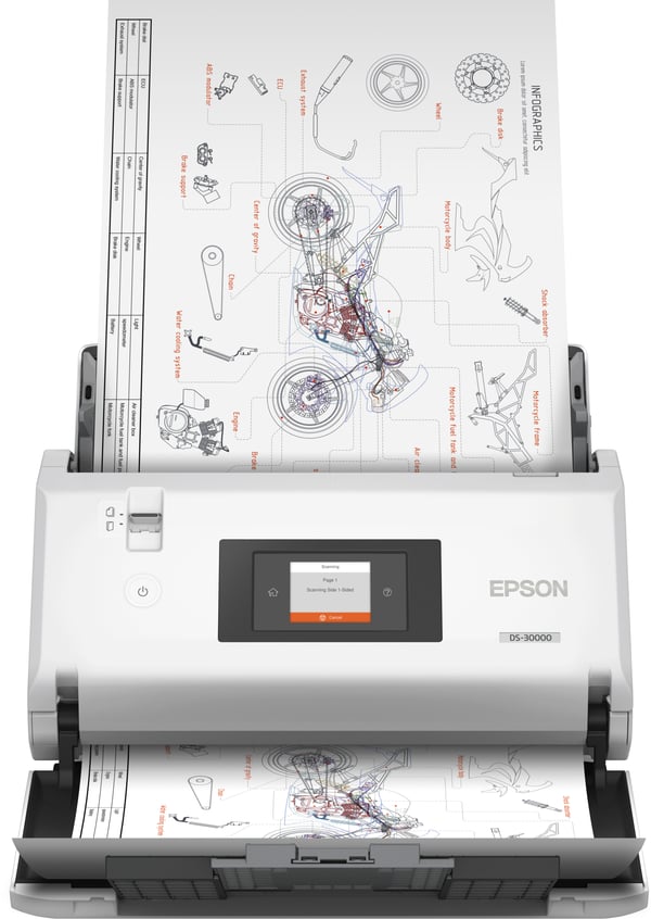 Epson WorkForce DS-30000 ‎ Skanner med papir-tilførsel 600 x 600 dpi A3 Hvid