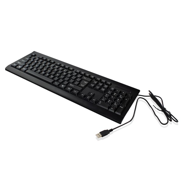Ewent EW3190 näppäimistö Universaali USB QWERTY Kansainvälinen (US) Musta