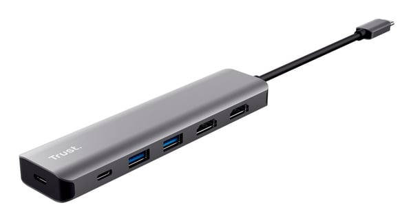 Trust Dalyx Langallinen USB 3.2 Gen 1 (3.1 Gen 1) Type-C Harmaa