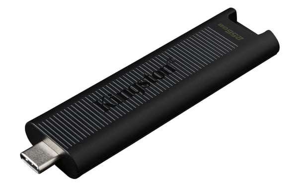 Kingston Technology DataTraveler Max USB-sticka 256 GB USB Type-C 3.2 Gen 2 (3.1 Gen 2) Svart