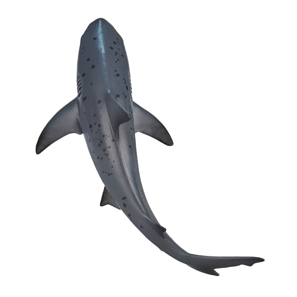 Mojo Fun Bull Shark