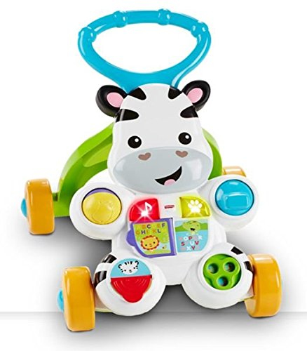 Mattel DLD91 push-pull lelu