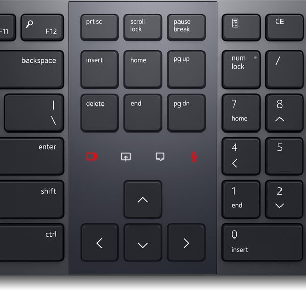 Dell Premier KB900 - Tangentbord - Samarbete