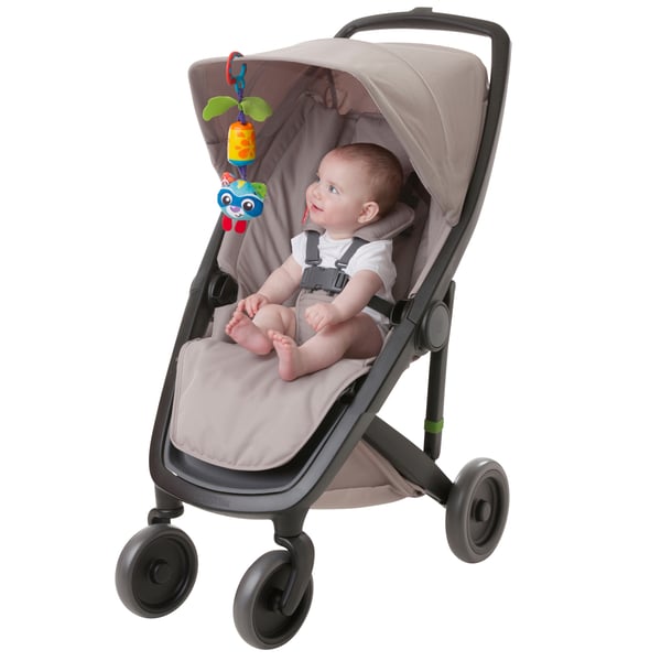 Playgro Cheeky Chimes Rocky Racoon baby uro