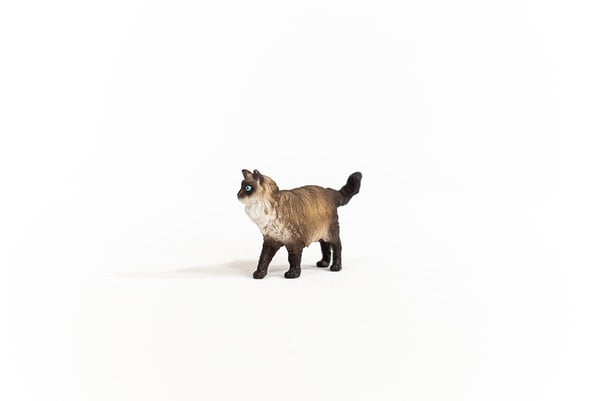 schleich FARM WORLD 13940 legetøjsfigur til børn