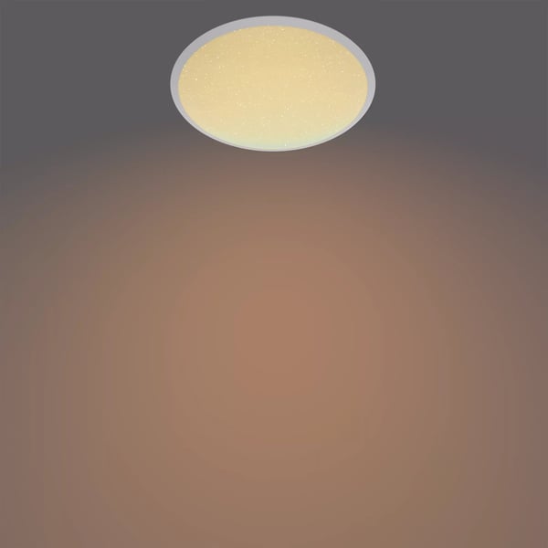 Philips Funktionel Canaval loftslampe, 12 W