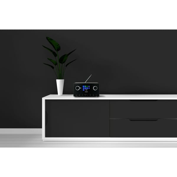 MEDION LIFE P85444 Internet Analog & digital Sort