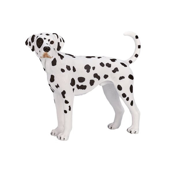 Mojo Fun Dalmatian
