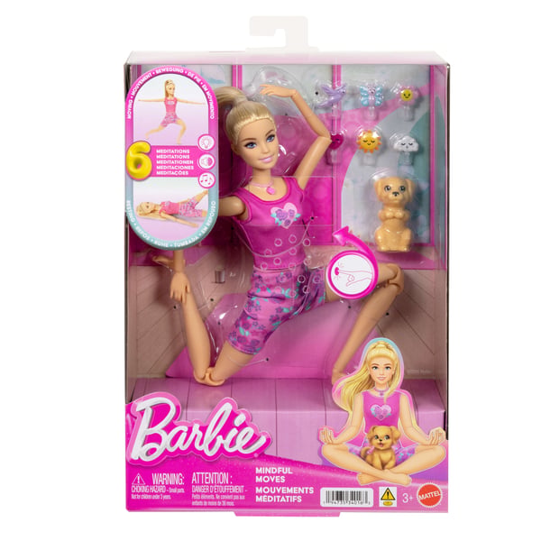 Barbie Mindful Moves Doll and Accessories