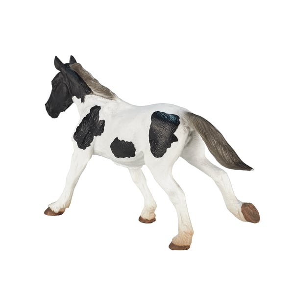 Mojo Fun Irish Cob Yearling