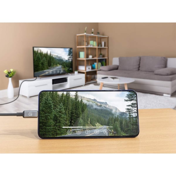 Manhattan 153591 videokabeladapter 1 m HDMI Typ A (standard) USB Type-C Svart, Grå