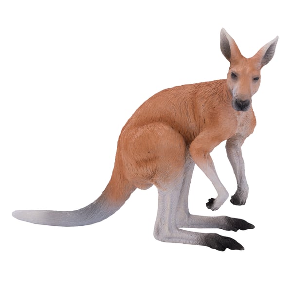 Mojo Fun Kangaroo