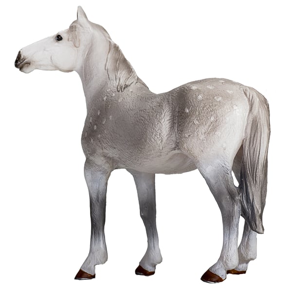 Mojo Fun Orlov Trotter