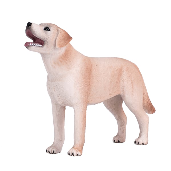 Mojo Fun Labrador