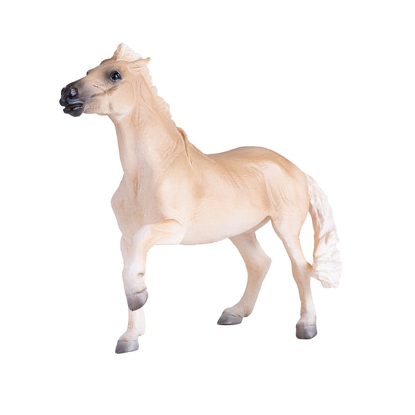 Mojo Fun Brumby Mare