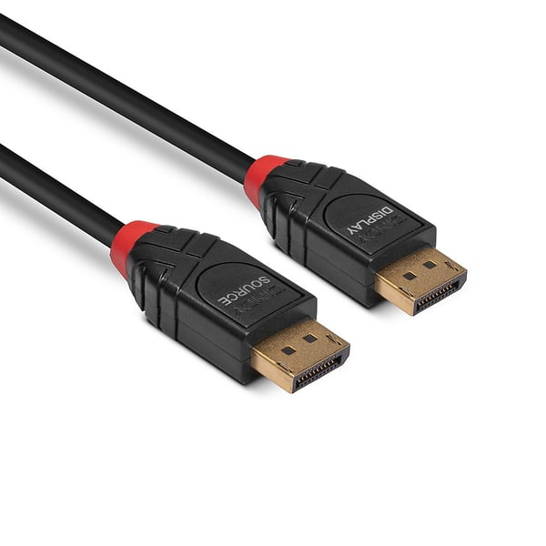 Lindy 41167 DisplayPort kabel 5 m Sort