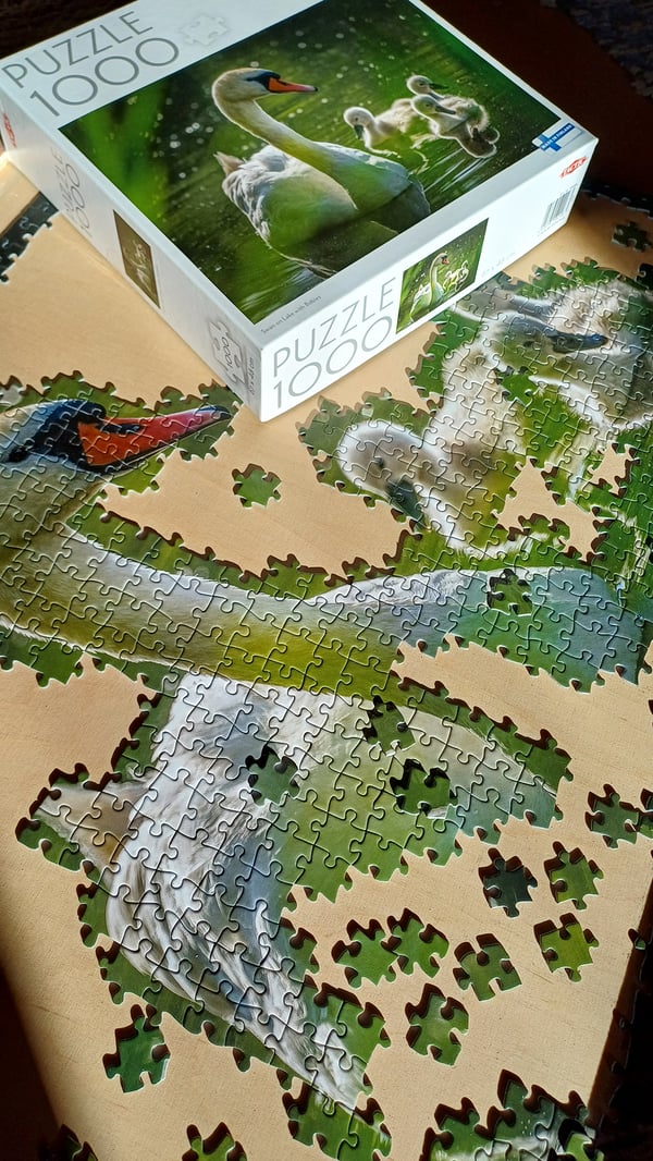 Tactic Puzzle Lovers Swan on Lake with Babies 1000 palan palapeli