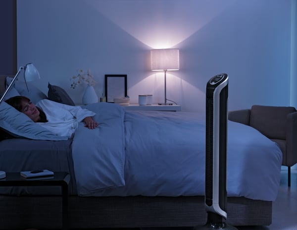 Rowenta Eole VU6620 Svart, Silver