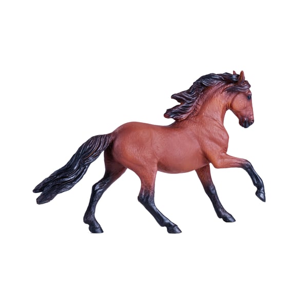 Mojo Fun Lusitano