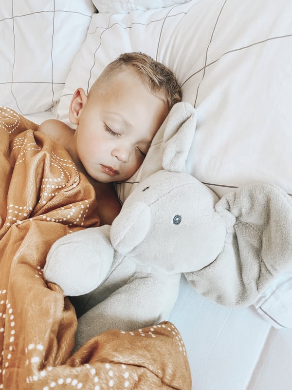 GUND GBB GBA Anmtd FlappyElephant Bx GFR