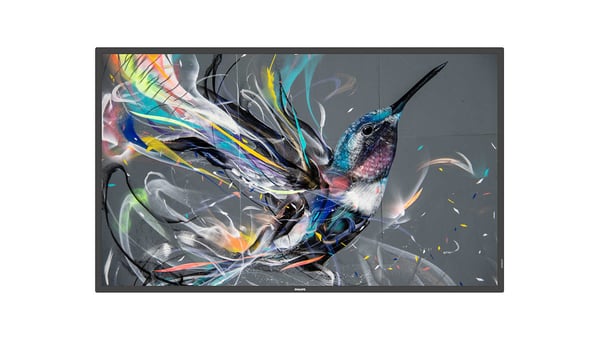 Philips 65BDL3550Q/00 infonäyttö 165,1 cm (65") IPS 400 cd/m² 4K Ultra HD Android 8.0 18/7