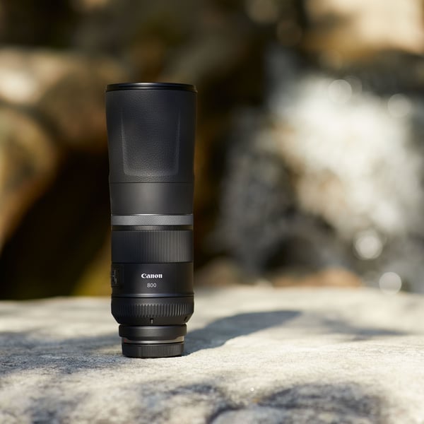 Canon RF 800mm F11 IS STM MILC Teleobjektiv Svart