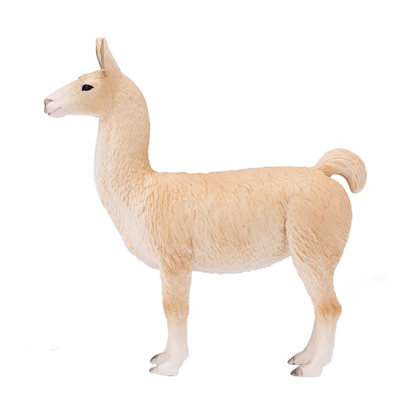 Mojo Fun Llama