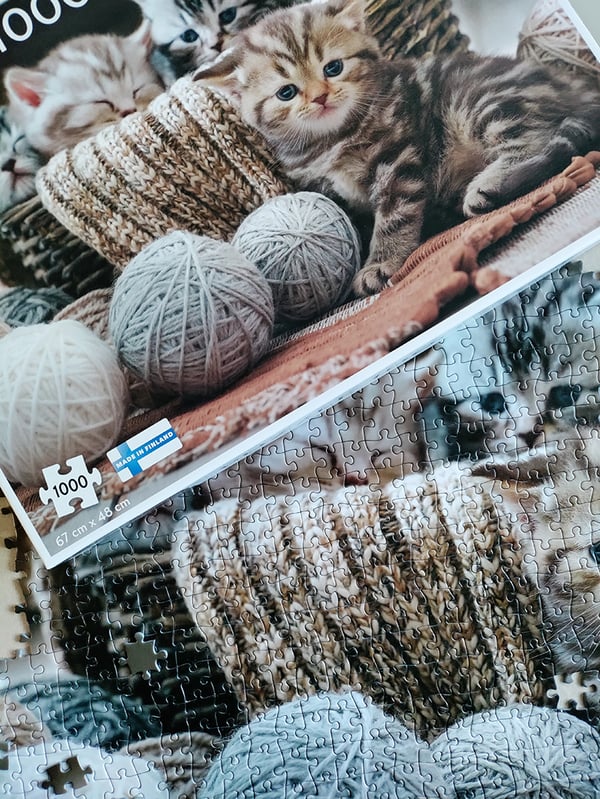 Tactic Cute Kittens 1000 pcs Puslespil 1000 stk Dyr